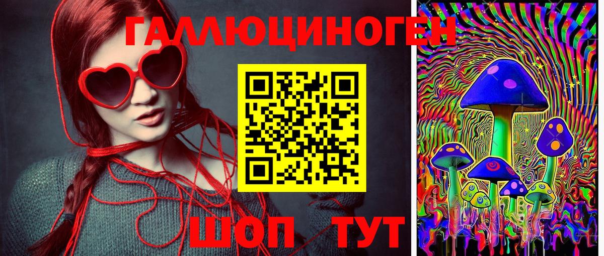 Саяногорск  Галлюциногенные грибы ЛСД  Вход с VPN 