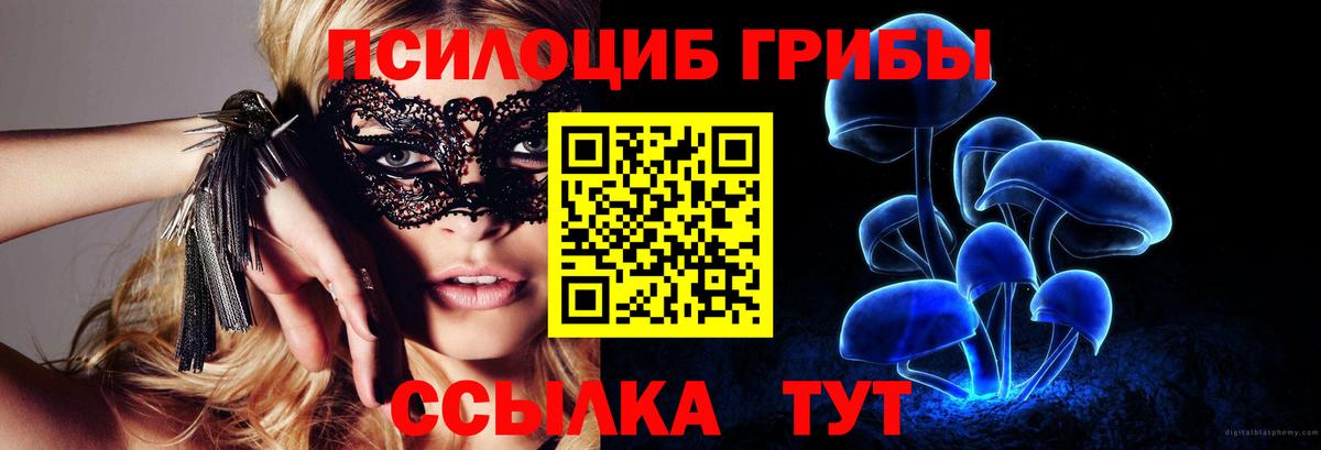 Псилоцибиновые грибы Psilocybine cubensis Саяногорск